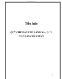 Tiểu luận: Quy chế dân chủ làng xã, quy chế dân chủ cơ sở