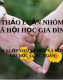 Tiểu luận: Nhóm Xã Hội Gia Đình