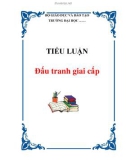 Tiểu luận đề tài : Đấu tranh giai cấp