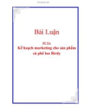 Bài Luận : Kế hoạch marketing cho sản phẩm cà phê lon Birdy