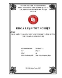 Khóa luận tốt nghiệp: Nhập khẩu vàng của Việt Nam năm 2008 và ảnh hưởng tới vấn đề an ninh tiền tệ