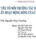 Báo cáo tiểu luận: Các yếu tố môi trường tác động lên hoạt động sống của cá