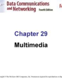 Chapter 29 Multimedia