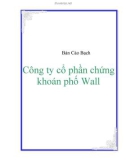 Bản Cáo Bạch Công ty cổ phần chứng khoán phố Wall