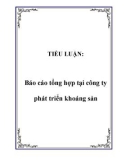 TIỂU LUẬN: Báo cáo tổng hợp tại công ty phát triển khoáng sản