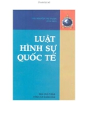 Một số điều Luật hình sự quốc tế