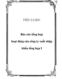 TIỂU LUẬN: Báo cáo tổng hợp hoạt động của công ty xuất nhập khẩu tổng hợp I