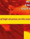 Impact of high oil prices on the economy