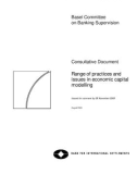 Range of practices and issues in economic capital modelling