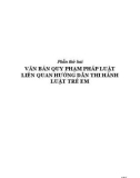 Hệ thống văn bản quy phạm pháp luật tài chính liên quan đến công tác bảo vệ, chăm sóc gia đình, trẻ em: Phần 2