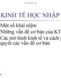 Nghiên cứu kinh tế học