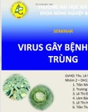 Tiểu luận: Virus gây bệnh côn trùng