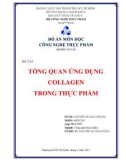 Đồ án Công nghệ thực phẩm: Tổng quan ứng dụng collagen trong thực phẩm