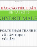 Báo cáo tiểu luận Anhydric Maleic