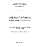 Luận án tiến sĩ thủy sản: Nghiên cứu quần thể vi khuẩn chuyển hóa đạm trong bùn đáy ao nuôi tôm sú (Penaeus monodon)