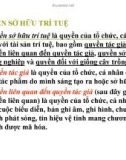 Bài giảng Quyền sở hữu trí tuệ