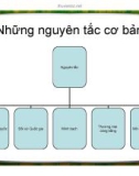 Bài giảng Những nguyên tắc cơ bản trong luật thương mại quốc tế