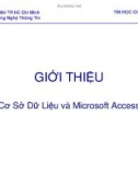 Bài giảng Giới thiệu cơ sở dữ liệu và Microsoft Access - ĐH Mở TP.Hồ Chí Minh