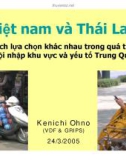 Việt nam và Thái Lan Cách lựa chọn khác nhau trong quá trình hội nhập khu vực và yếu tố Trung Quốc