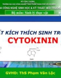 Báo cáo tiểu luận: Chất kích thích sinh trưởng Cytokynin