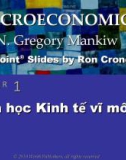 Bài giảng Kinh tế vĩ mô: Chương 1 - N. Gregory Mankiw