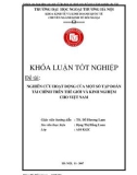 Khóa luận tốt nghiệp: Nghiên cứu hoạt động của một số tập đoàn tài chính trên thế giới và kinh nghiệm cho Việt Nam