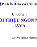 Bài giảng Lập trình Java cơ bản: Chương 1 - GV. Võ Hoàng Phương Dung