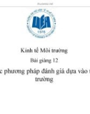 Bài giảng Kinh tế Môi trường: Bài giảng 12