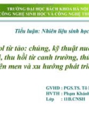 Tiểu luận: Nhiên liệu sinh học