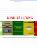 Bài giảng Kinh tế lượng: Chương 1 - Nguễn Văn Vũ An