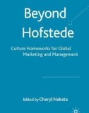 Ebook Beyond Hofstede: Culture frameworks for global marketing and management