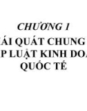 Bài giảng Pháp luật kinh doanh quốc tế - Chương 1: Khái quát chung về pháp luật kinh doanh quốc tế