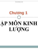 Bài giảng Kinh tế lượng: Chương 1 - Trần Thị Tuấn Anh