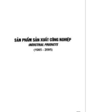 20 năm đổi mới và phát triển Công nghiệp Việt Nam: Phần 2