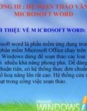 Bài giảng Tin học đại cương: Chương 3 - Hệ soạn thảo văn bản Microsoft Word