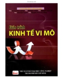 Giáo trình Kinh tế vi mô: Phần 1 - TS. Nguyễn Đình Luận (chủ biên)