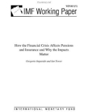 How the Financial Crisis Affects Pensions and Insurance and Why the Impacts Matter