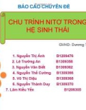 Bài thuyết trình: Chu trình Nitơ trong hệ sinh thái