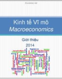 Bài giảng Kinh tế vĩ mô - Châu Văn Thành