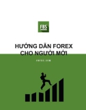 Hướng dẫn Forex cho người mới bắt đầu