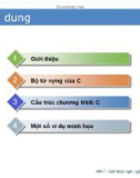 Bài giảng Nhập môn lập trình C: Chương 2 - Trần Thị Kim Chi