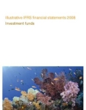 Illustrative IFRS financial statements 2008