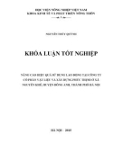 Khóa luận tốt nghiệp: Nâng cao hiệu quả sử dụng lao động tại Công ty Cổ Phần vật liệu và xây dựng Phúc Thịnh ở xã Nguyên Khê, huyện Đông Anh, thành phố Hà Nội