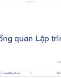 Bài giảng Cơ sở lập trình: Chương 1 - Lê Viết Mẫn