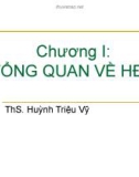 Bài giảng Hệ điều hành: Chương 1 - ThS. Huỳnh Triệu Vỹ