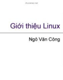 Bài giảng Hệ điều hành linux: Chương 1 - Ngô Văn Công