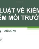 Bài giảng Luật môi trường: Chương 4 - ThS Phan Thỵ Tường Vi