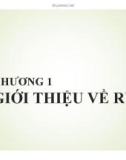 Bài giảng Quản trị rủi ro: Chương 1 - Võ Hữu Khánh