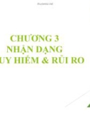 Bài giảng Quản trị rủi ro: Chương 3 - Võ Hữu Khánh