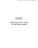 Các nước đang phát triển và kinh tế phi chính thức: Phần 2